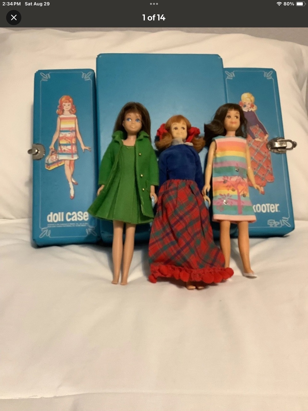 Vinegar Barbie skipper, dolls, rare case and clothing, huge lot